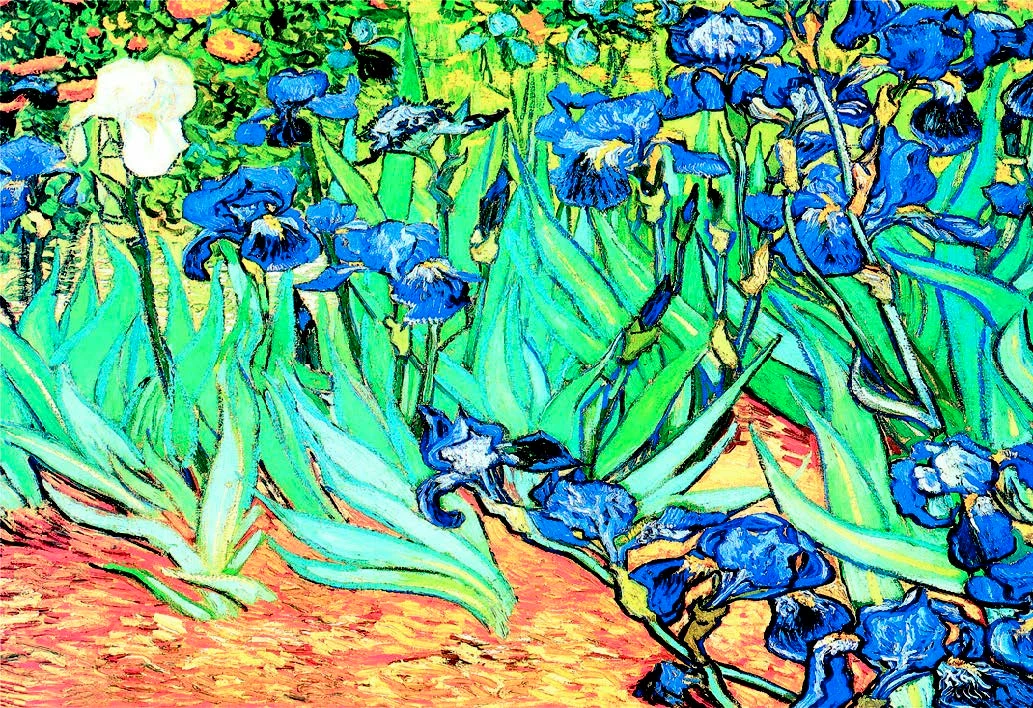 Van Gogh Iris